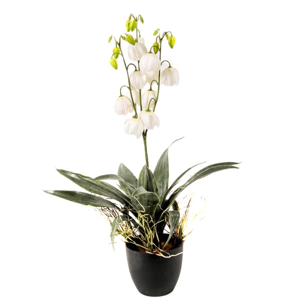 YUCCA 73CM FIORITA CVASO